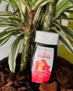 Agave syrup with hibiscus